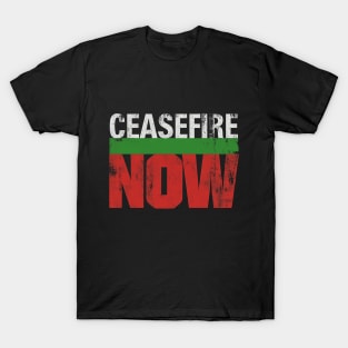 Powerful Ceasefire Now Advocacy Graphic T-Shirt